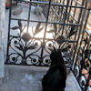 2010-07-22 Un pigeon 1_l.jpg